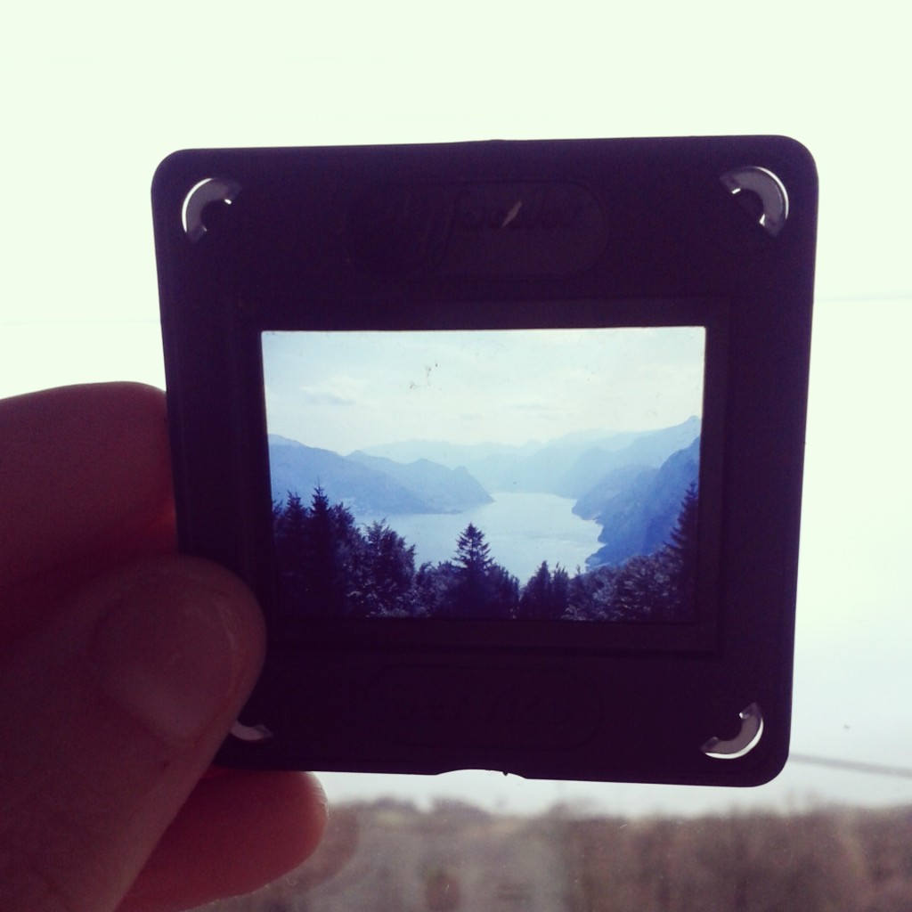 Found these beautiful things.